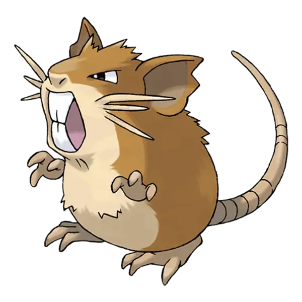 raticate